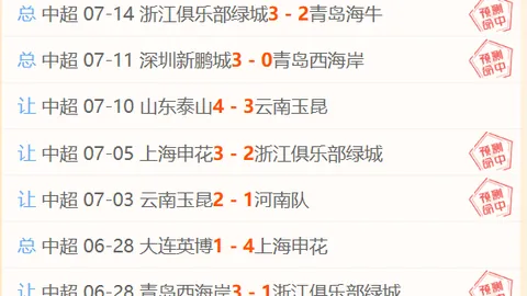 世界杯投注，足球盘口， 105304